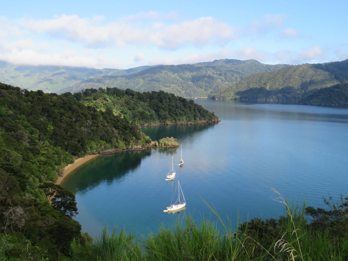 Waterfront Bed And Breakfast Picton Exteriör bild